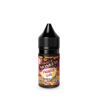 vapesq twelve monkeys paradise
